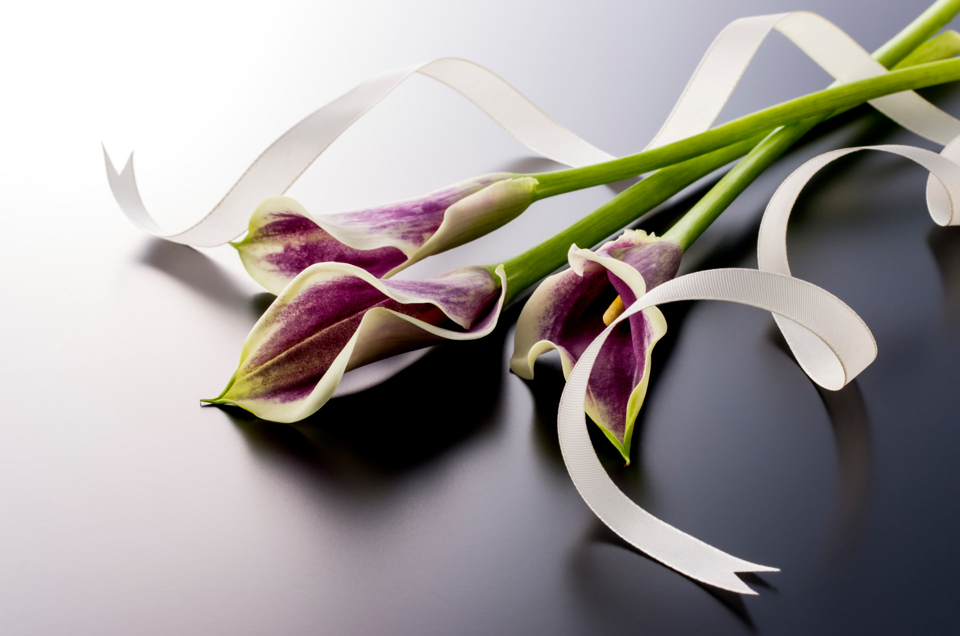 Calas moradas con una cinta blanca